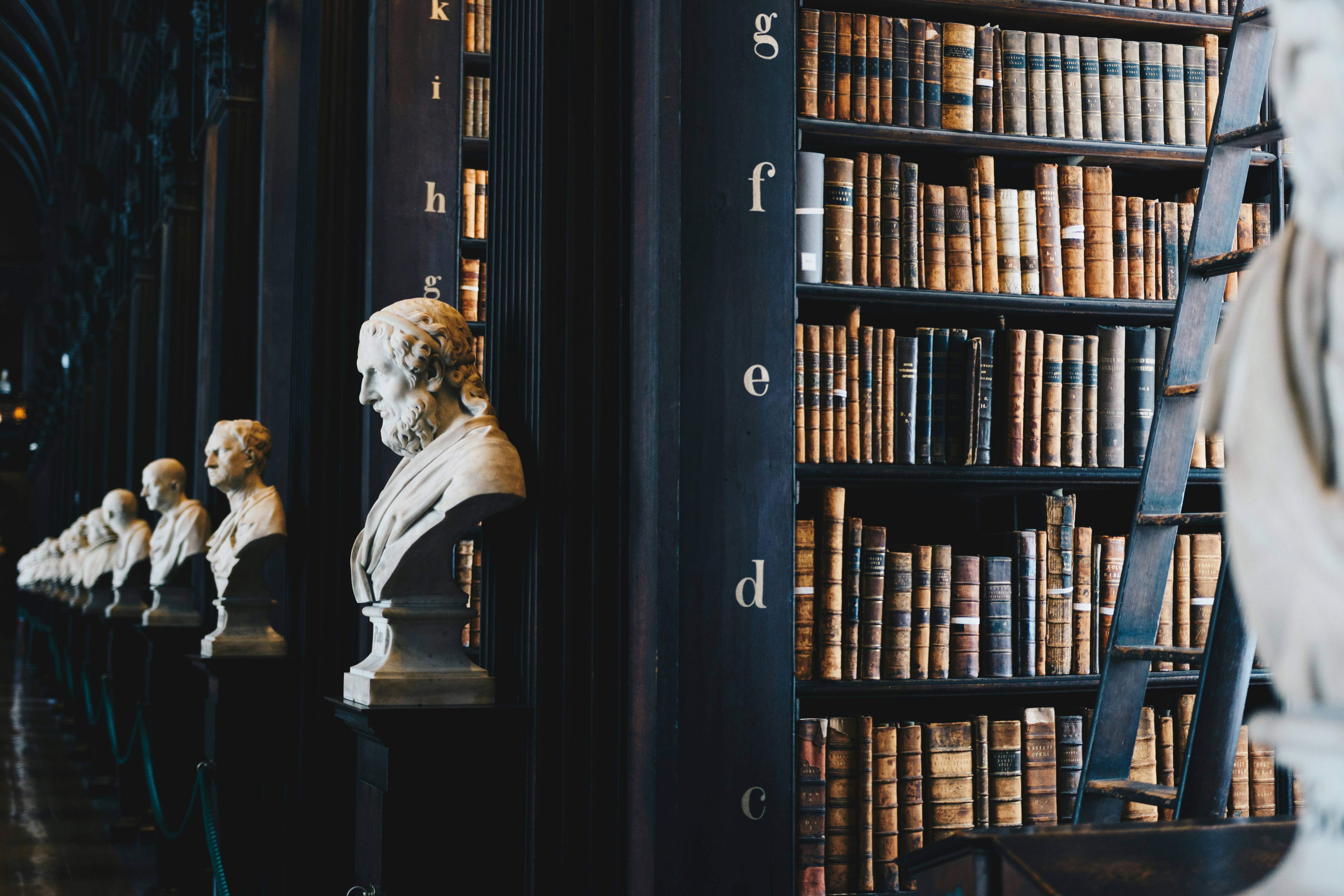 Klassisk bibliotek med lærinnbundne bøker og marmorbyster
